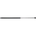 Lift Support Set for Cadillac Eldorado, Seville (1992–2002)
