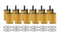 Set of 12 Engine Oil Filters for Audi A3 TT Quattro, VW Beetle, Golf, Passat, CC, R32