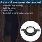 Rear Crankshaft Oil Seal for Ford Fiesta (1999–2008) No.XS6E6K301BF