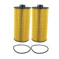 Set of 2 Engine Oil Filters for Ford E-350 F-250 F-350 SD 6.0 V8 (2003–2007)