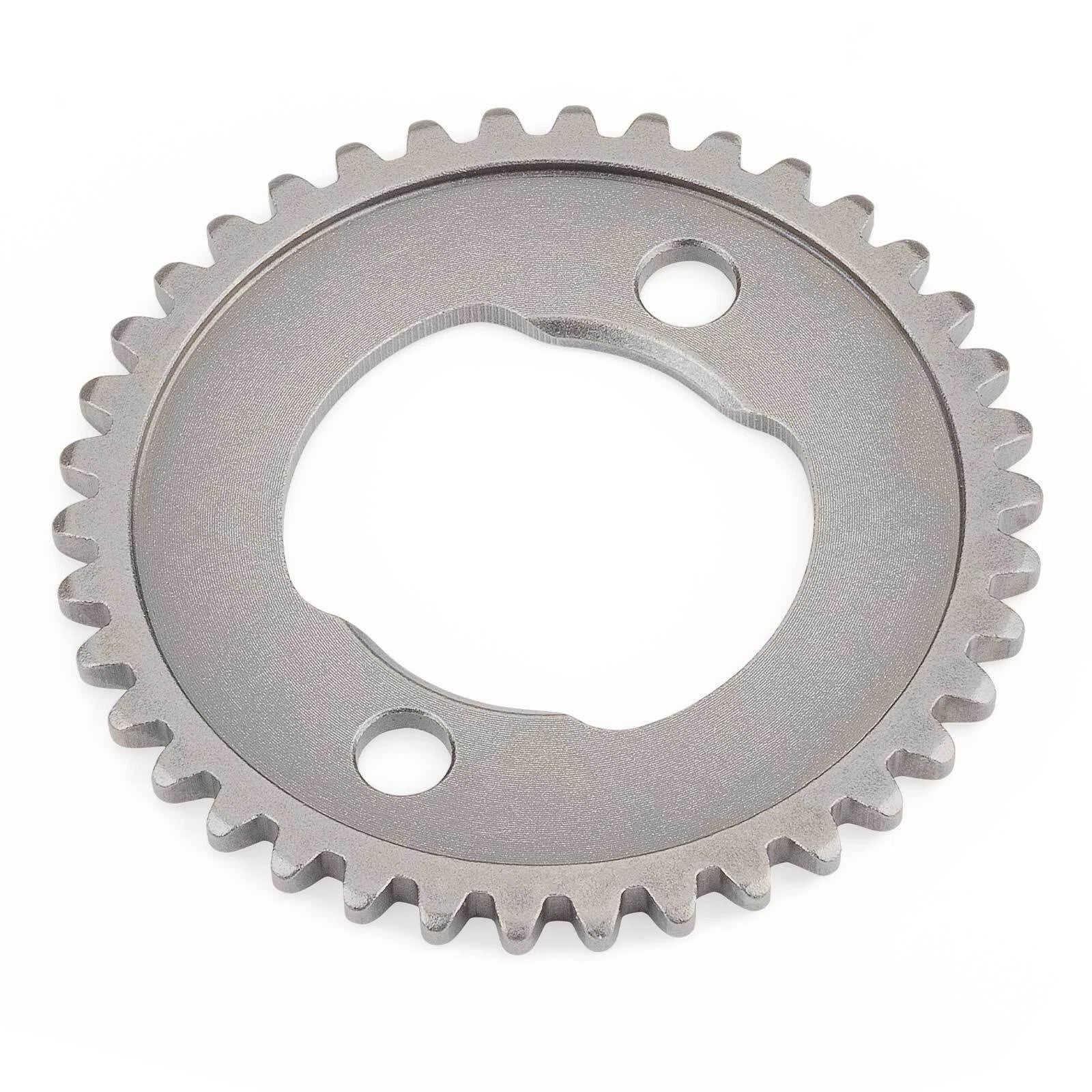 Camshaft Sprocket 38T & Timing Chain for Honda Fourtrax TRX300 (1988–2000)