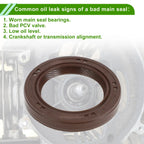 Front Crankshaft Oil Seal for Hyundai Accent Elantra, Kia Optima Rio (2000-2023)