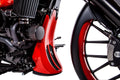 TRASK Raked Frame Cover for FL (2021)
