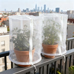 2X Garden Dome Plant Covers with Zipper for ACCESS