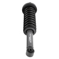 Front Struts Coil Spring Assembly for Ford F-150 4WD (2009–2013)