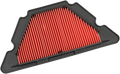 HIFLOFILTRO Air Filter for Yamaha (HFA4615)