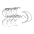 Set of 4 Engine Main & Rod Bearings for D34 D34P D34NAP7 (+0.25mm)