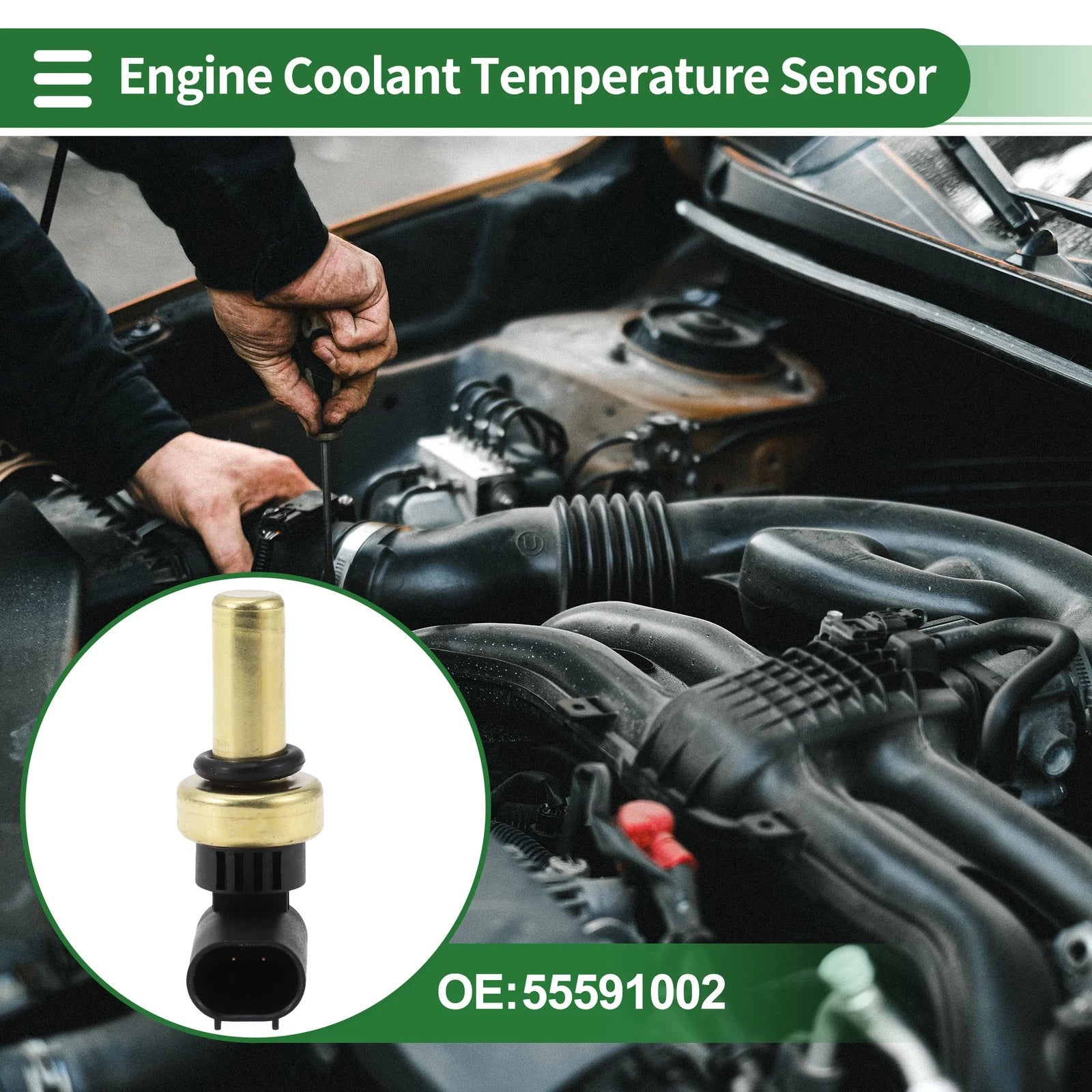 Engine Coolant Temperature Sensor No. 55591002 for Chevrolet Cruze (2014)