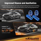 Lowering Springs for BMW 1 Series Hatchback (2011–2019)
