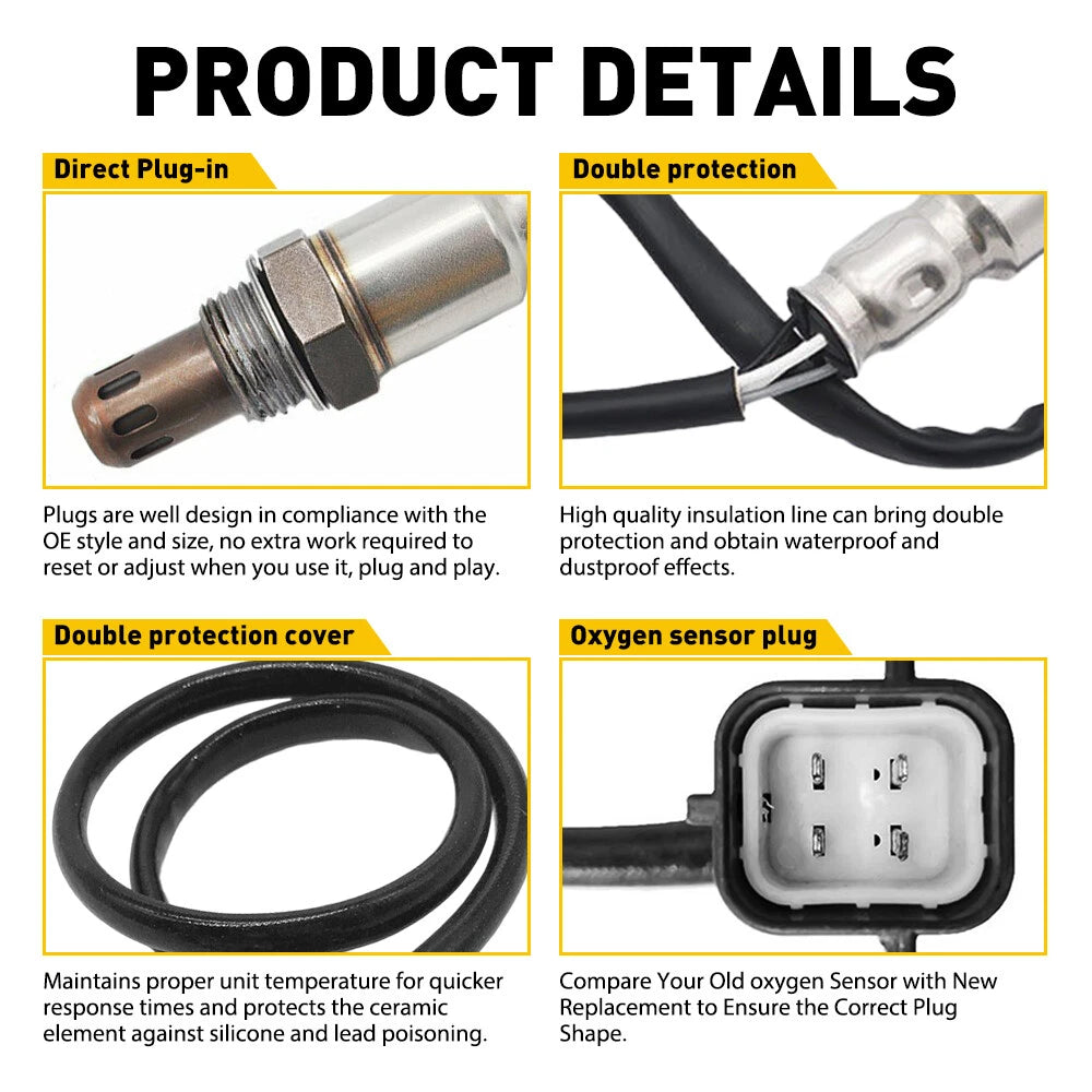 Exhaust Tail Pipe Muffler for Auto (Black Coated Stainless Steel)