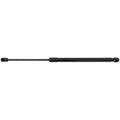 Liftgate Lift Supports for Hyundai Kona (2019–2023)