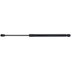 Liftgate Lift Supports for Hyundai Kona (2019–2023)