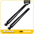 Rear Pair Suspension Shocks Struts for Dodge Durango (2004–2009)