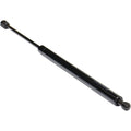 Set of 2 Lift Supports for Hyundai Elantra (2001–2006)