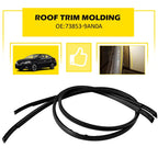 Set of 2 Roof Drip Mouldings Trim for Nissan Sentra (2013–2018)