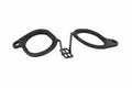 Genuine OEM Fuel Injection Plenum Gasket for BMW 760Li, 760i (2003–2008) 11611440321