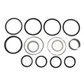 Hydraulic Cylinder Seal Kit for Ford New Holland TR (Fits 251038)