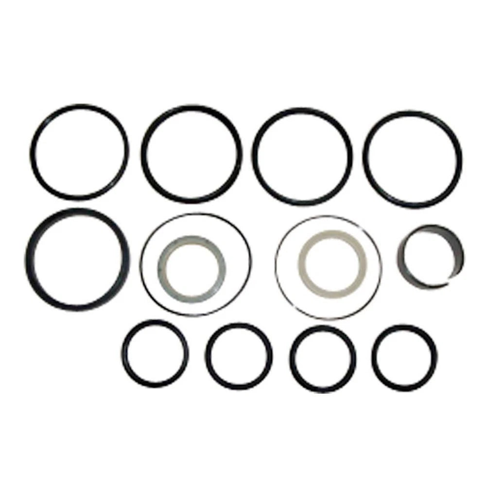 Hydraulic Cylinder Seal Kit for Ford New Holland TR (Fits 251038)