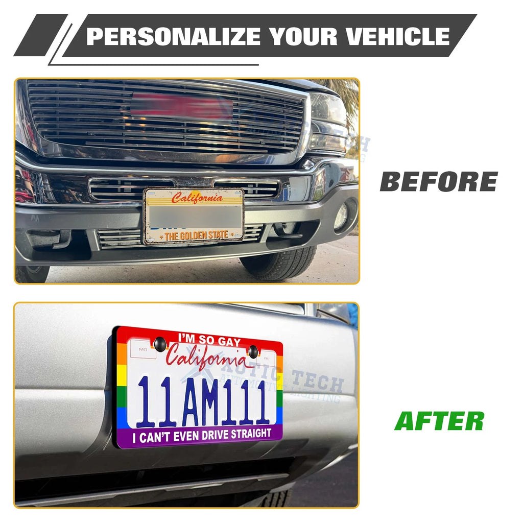 LGBT Universal 2 Holes License Plate Frame Stainless Steel (Weather-Proof)