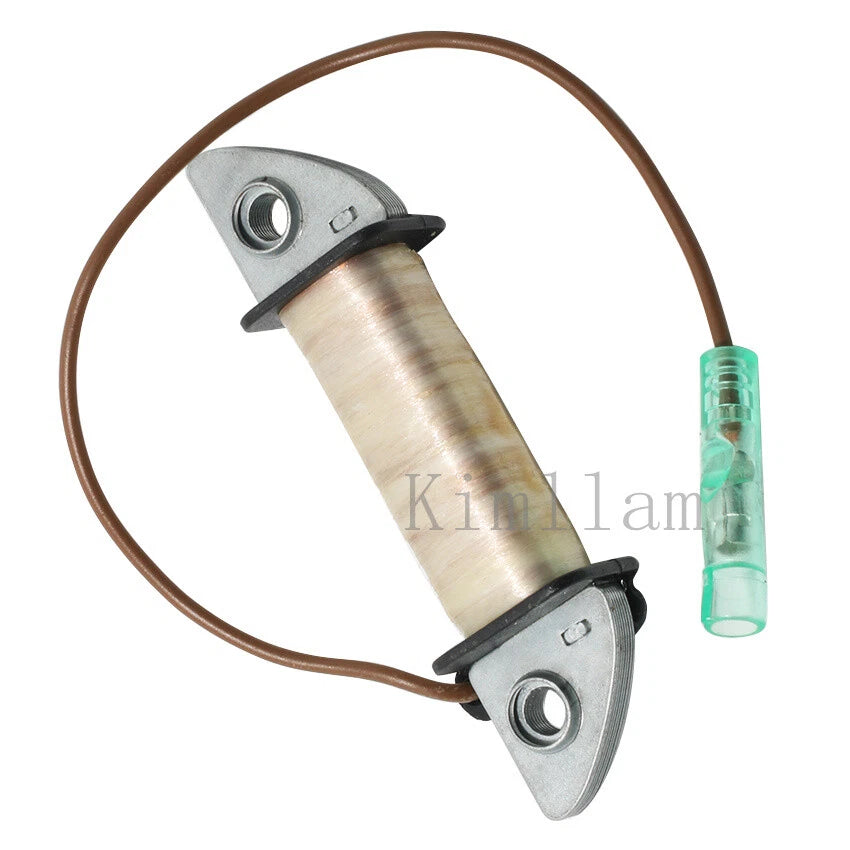 Charge Coil for Yamaha Outboard 3HP 4HP 5HP (2000–2015) 6E0-85520-70 5C MHS/L