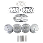 Set of Piston Rings for Dodge Dakota Jeep Cherokee Wrangler (1996–2002)