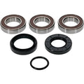 Pivot Works Premium Wheel Bearing for