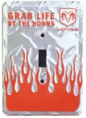 Light Switch Cover Plate for Grab Life by the Horns (4 Room)