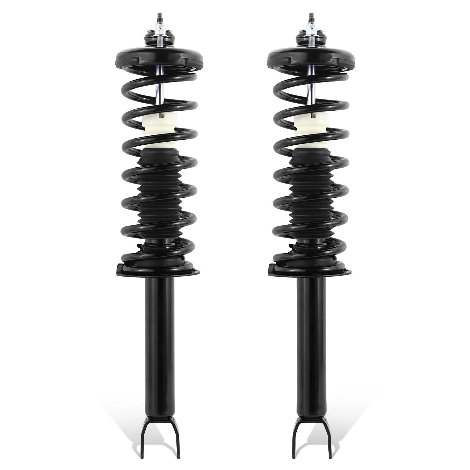 Rear Black Struts with Coil Spring Assembly for Acura TSX Honda Accord (2008–2017)