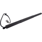Set of 2 Liftgate Lift Supports for S