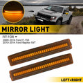 LED Turn Signal Lamp for Ford F-150 Raptor SVT (2009–2014) EC