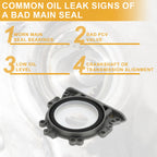 Crankshaft Oil Seal for VW Golf (1999–2006) & Audi A4 (Flange No. 06A103171A)