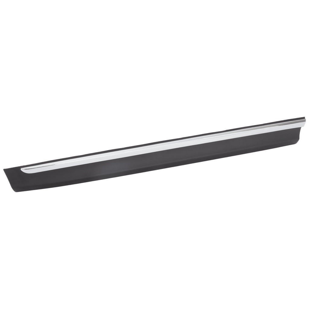 Door Molding and Beltlines Set of 2 for Front Driver & Passenger Side