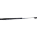 Lift Support for Toyota Celica Hatch (2000–2004)