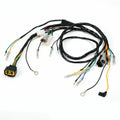 Wire Harness for Yamaha Blaster YFS200 (2003–2006)