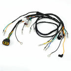 Wire Harness for Yamaha Blaster YFS200 (2003–2006)