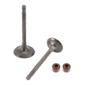 Inlet & Exhaust Valves Kit for Yamaha YFA1 Breeze (2000–2004), Grizzly YFM125 (2004–2013)
