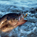 Fly Fishing Hook Nymph Lure for Bluegill