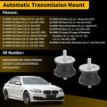 Left-Right Transmission Mount Kit for BMW 1 Series