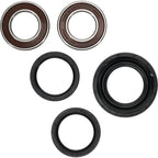 Pivot Works Wheel Bearing for