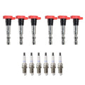 Eldor 6 Ignition Coils & Denso Platinum Spark Plugs Kit for A4 A6 Quattro (2002–2008)