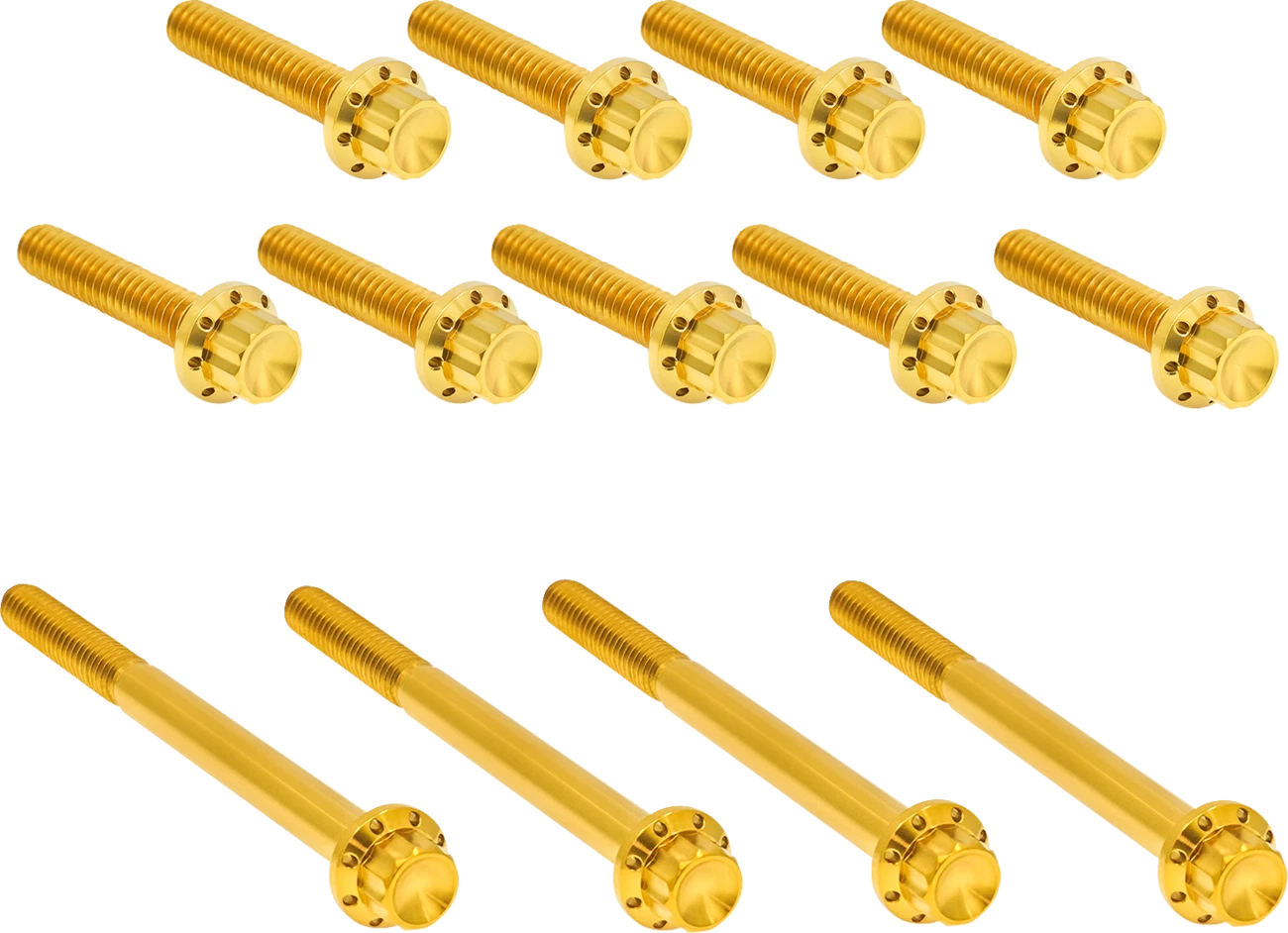 Bolt Kit for Harley Davidson Twin Cam (2000–2017) - Titanium 12-Point Gold