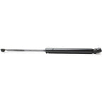 Hood Lift Supports Set of 2 for Coupe