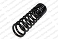 Rear Coil Spring for BMW (4208430)