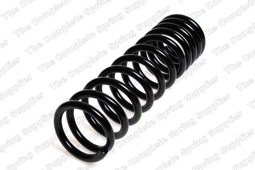 Rear Coil Spring for BMW (4208430)