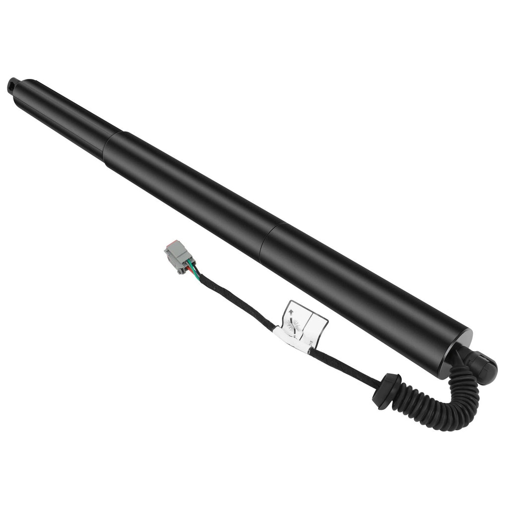 2X Lift Supports for Ford Edge (2015–2018) Gas Struts Liftgate