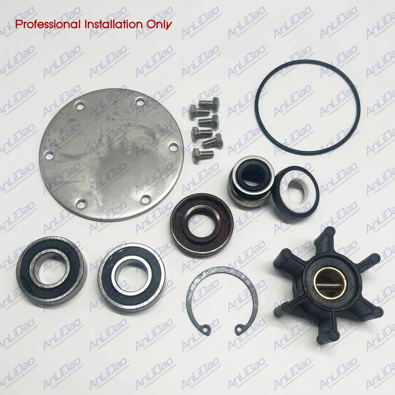 Jabsco Sea Water Pump Repair Kit for Northern (25-12007, 128990-42200)