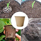 Set of 100 Biodegradable Nursery Pots for Garden Flower Plants