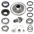Rear Differential Pinion Ring Gear Bearings Kit for Honda TRX250 (2001–2023)