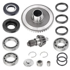 Rear Differential Pinion Ring Gear Bearings Kit for Honda TRX250 (2001–2023)