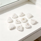 Set of 5 Small Triangle Microfiber Cleaning Pads for Dupray Steam Cleaner